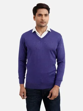 Colorplus Men Blue Solid Regular Fit Silk Blend Full Sleeve V Neck Sweaters