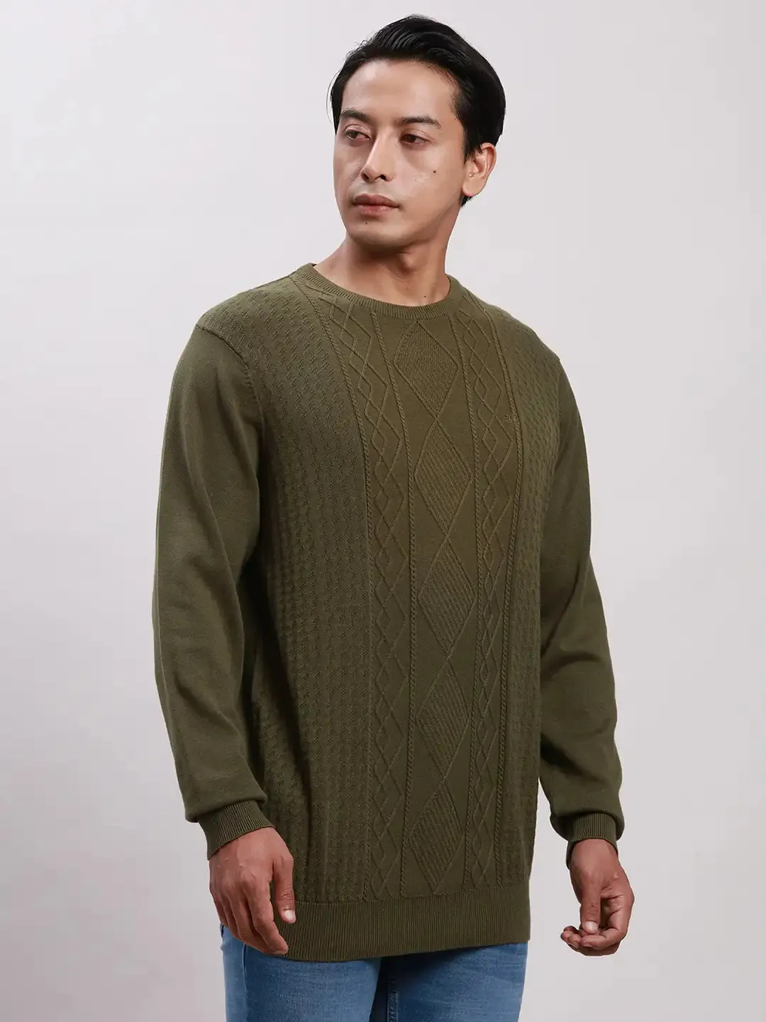 ColorPlus Men Green Tailored Fit Structure Cotton Full Sleeve V Neck Collar Sweaters