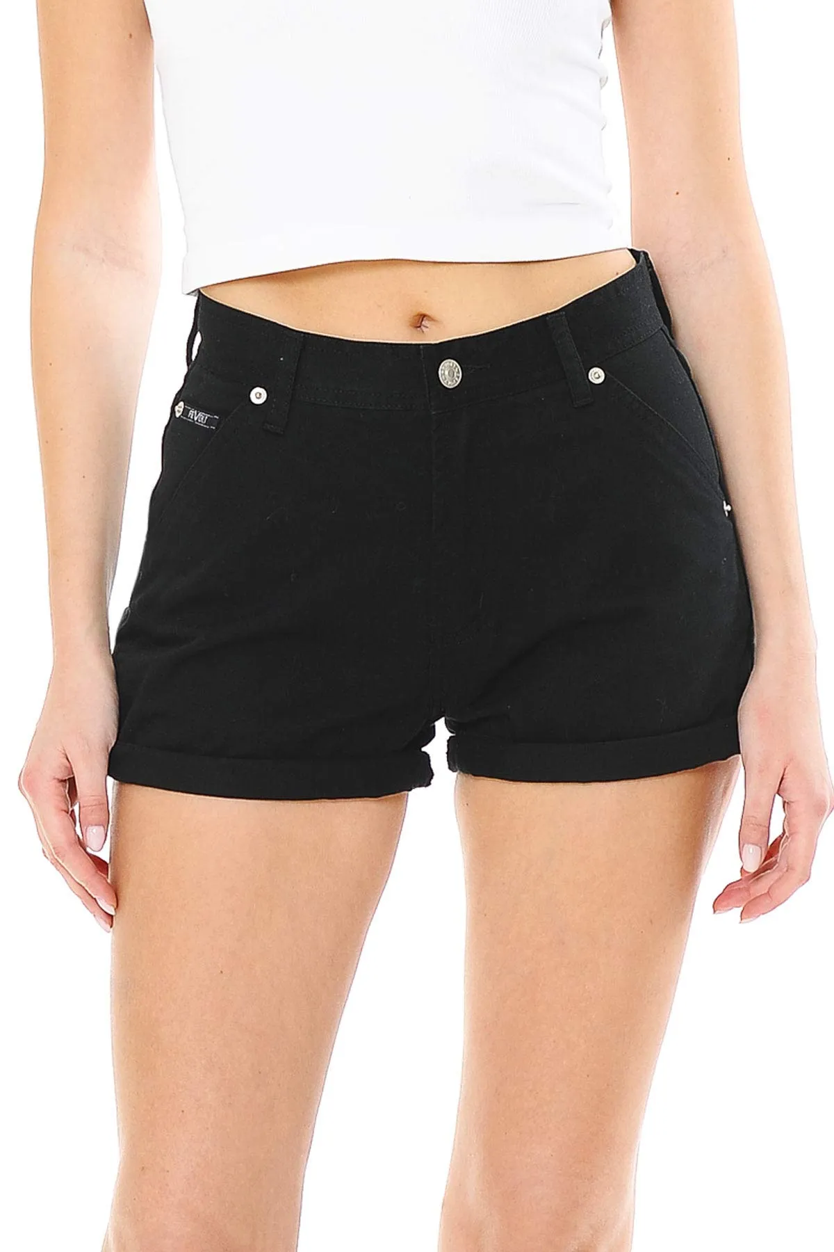 Pin Up Curvy Shorts